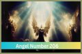 
ANGEL NUMBER 206
