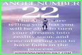 
ANGEL NUMBER 22
