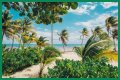 Best Costa Maya Beaches to Visit