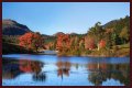 Best Fall Foliage Cruise Destinations