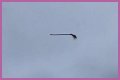 Disturbing video shows floating broom in the middle of the air and the internet is losing its collective mind