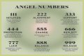 
Repeating Angel Numbers - 3's and 6's  (3366, 3636, 6633, 6363 etc)
